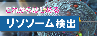 これからはじめる リソソーム検出