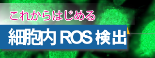 これからはじめる 細胞死検出