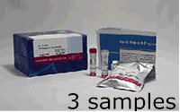 Ab-10 Rapid R-Phycoerythrin Labeling Kit