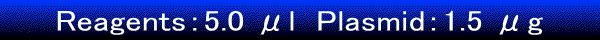 Reagents:5.0 μl Plasmid:1.5 μg